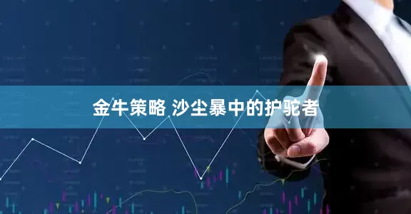 金牛策略 沙尘暴中的护驼者