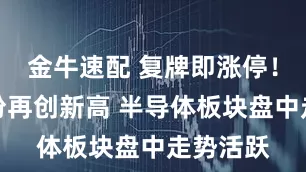 金牛速配 复牌即涨停！芯原股份再创新高 半导体板块盘中走势活跃